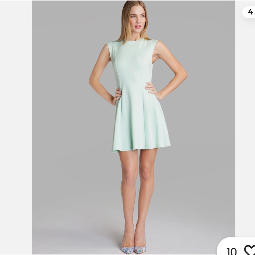Ted Baker Elegant Mint Green Sleeveless Hourglass Dress